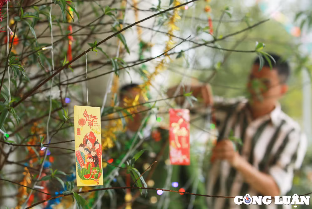 tet am tai trai giam so 3 tinh nghe an hinh 18