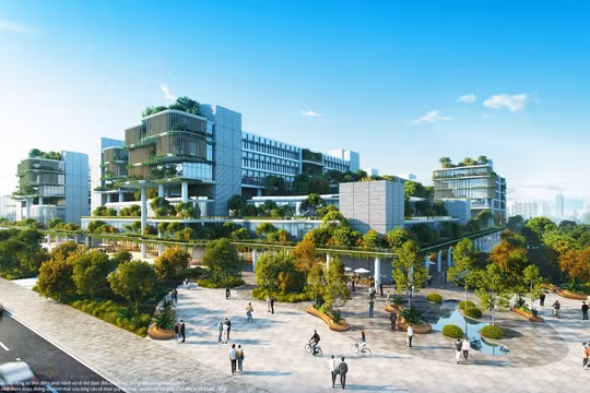 Người Hà Nội “Nam tiến” tìm chốn an cư, Vinhomes Green Paradise Cần Giờ thành đích đến