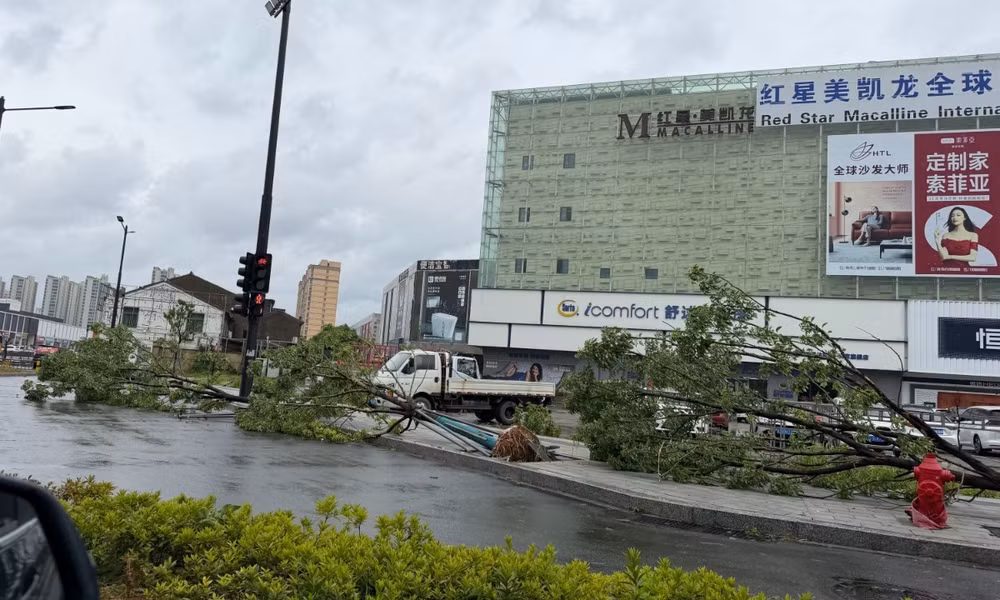 Cây đổ dọc đường ở Taizhou, tỉnh Chiết Giang, miền Đông Trung Quốc, sau khi bão Bavi đổ bộ vào ngày 12/7. Ảnh: GT