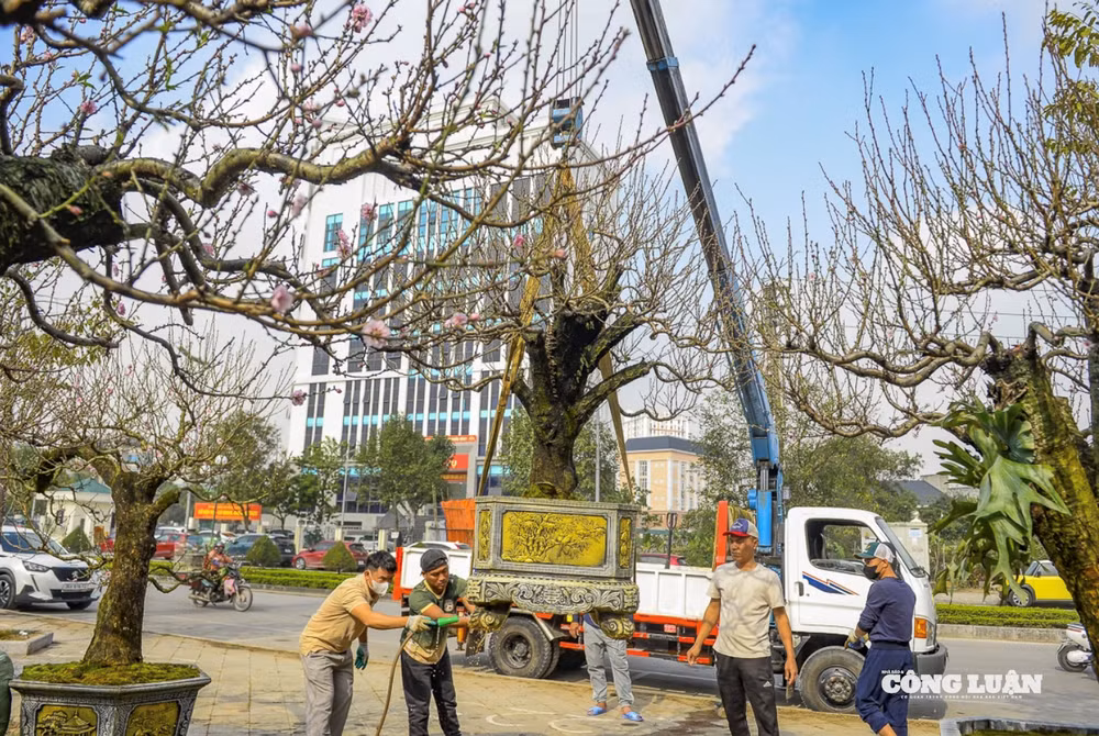 Ảnh chụp Màn hình 2026-02-02 lúc 10.21.05