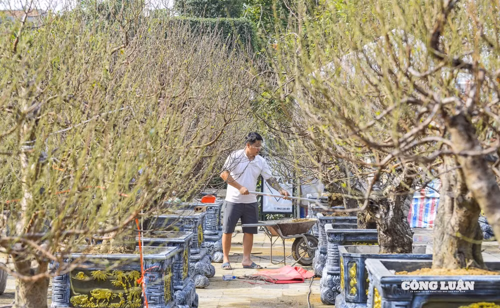 Ảnh chụp Màn hình 2026-02-02 lúc 10.20.49