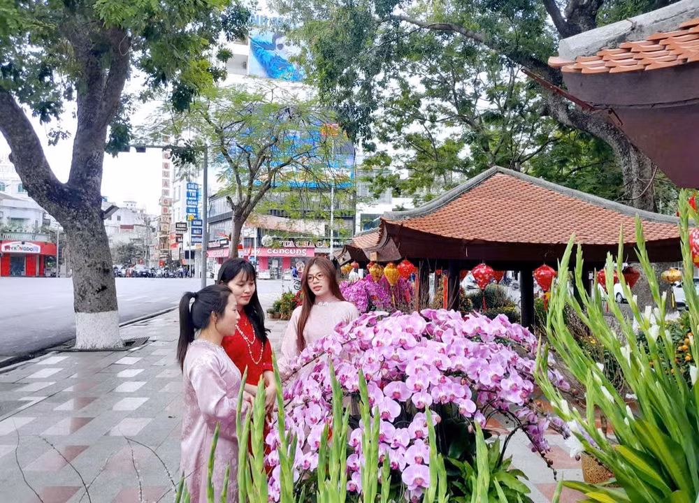 5-quan-hoa-hai-phong-hoat-dong-tro-lai-2.jpg