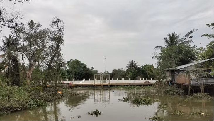 Ảnh 1