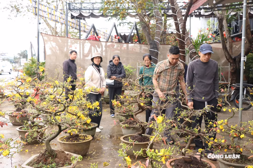 Người dân Nghệ An đến vừa mua mai, vừa ủng hộ ông Tuấn để sớm về chuẩn bị Tết cùng gia đình
