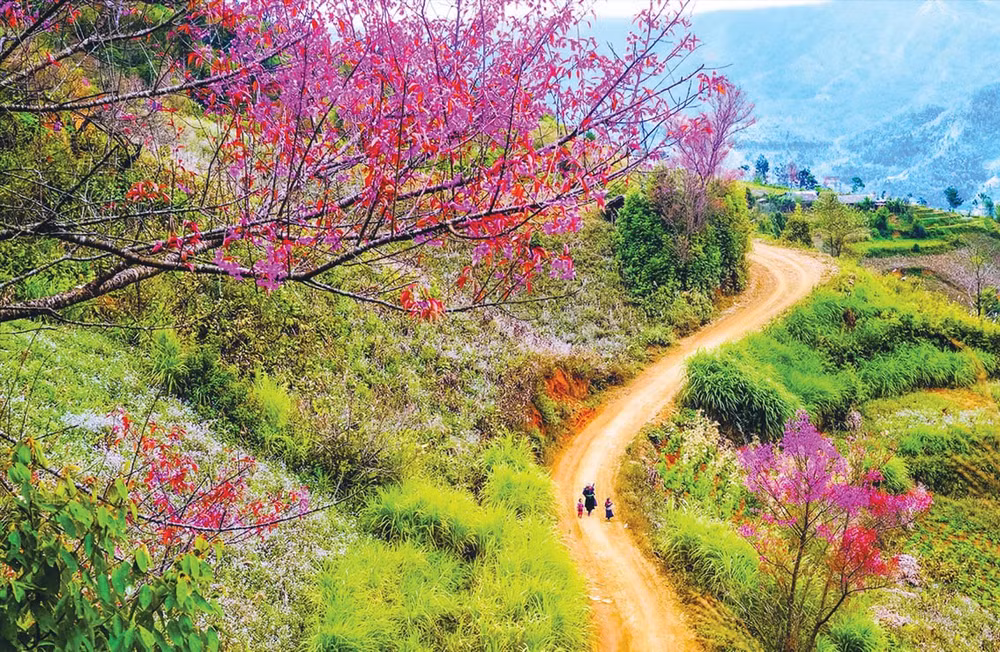 du-lich-tay-bac20250201184856.jpg