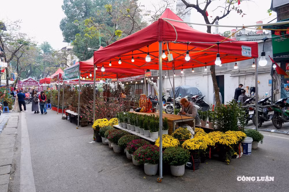 Chợ hoa Xuân Phố cổ 2026 diễn ra từ ngày 30/1 đến 16/2, được tổ chức trên dọc các tuyến phố Hàng Lược, Hàng Khoai, Hàng Rươi, Hàng Mã và khu phố bích họa Phùng Hưng.