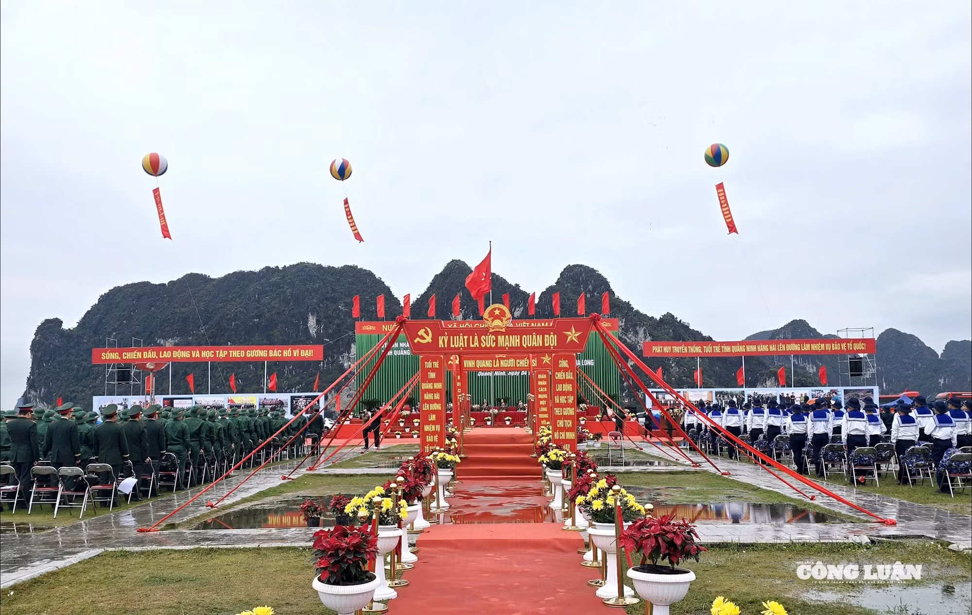 1-rang-ro-dat-mo-ngay-hoi-tong-quan.jpg