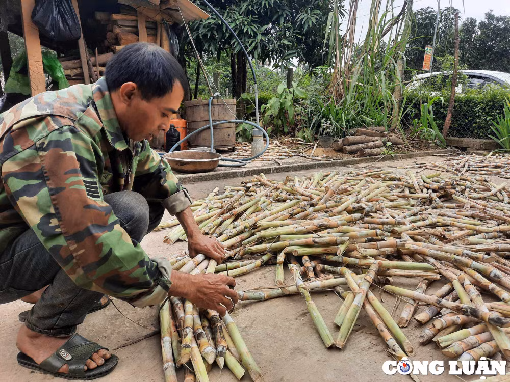 lang nghe mat mia truyen thong o ha tinh tat bat phuc vu tet nguyen dan hinh 8