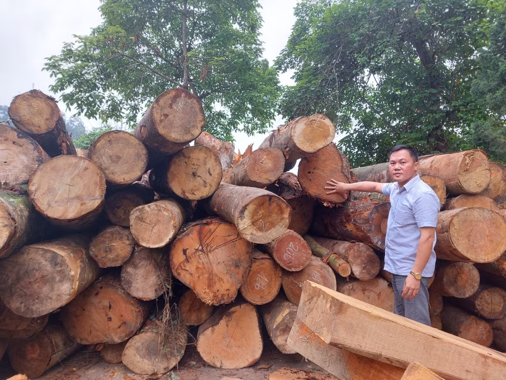 deo bam thong tin theo den cung de dua su viec ra anh sang hinh 2
