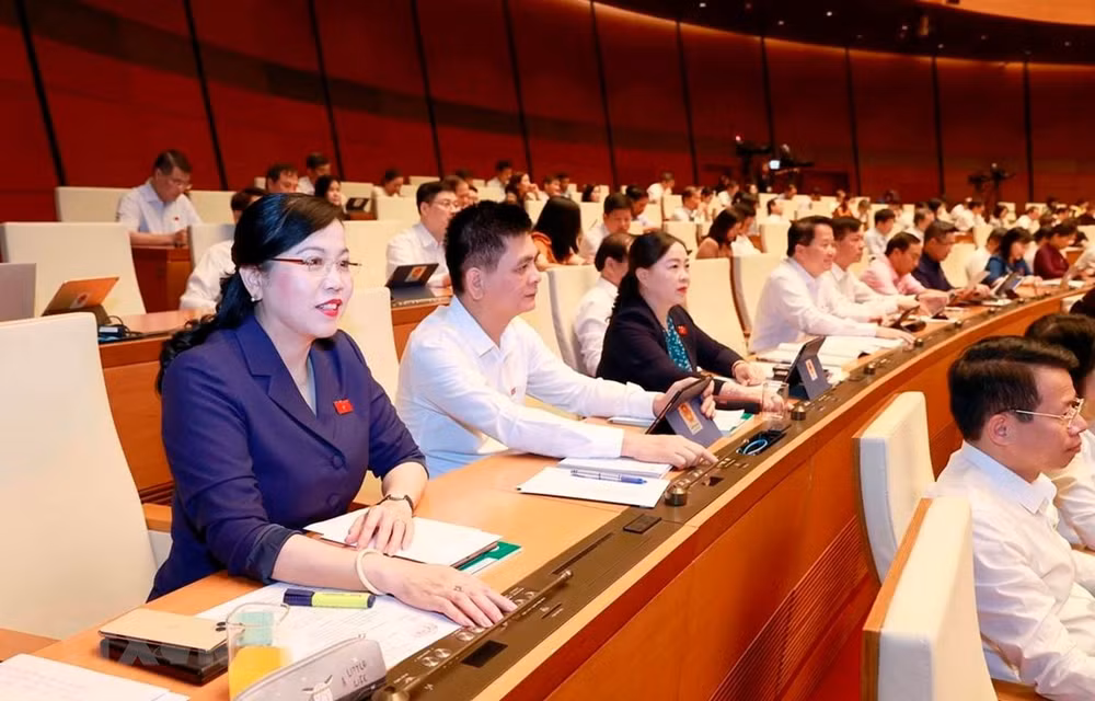 dau an mot quoc hoi dong hanh manh me hinh 1