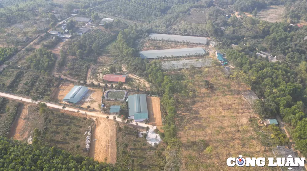 tam nong phu tho hang loat thanh vien hop tac xa lam son hoat dong trang trai trai phep tren dat nong nghiep hinh 1