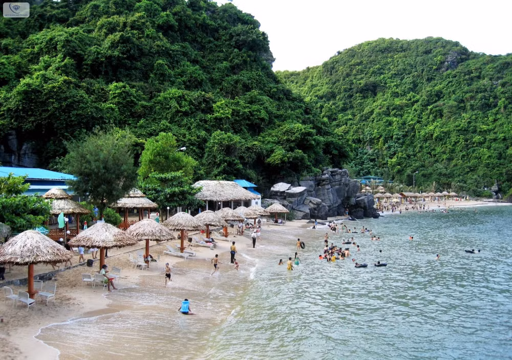 hai phong phan dau don 91 trieu luot du khach trong nam 2024 hinh 1
