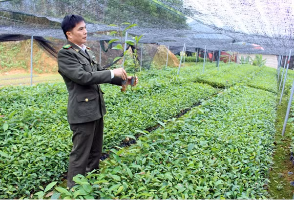 chinh phu ban hanh quy dinh xu phat vi pham hanh chinh ve trong trot hinh 1