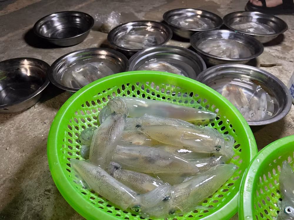 doc dao khu cho ban muc nhay giua dem o cua lo nghe an hinh 3