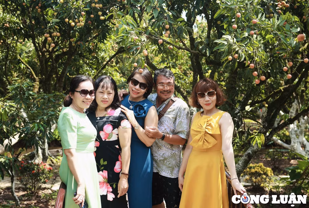 kham pha mien tay thu nho cua vung dat xu dong hinh 3