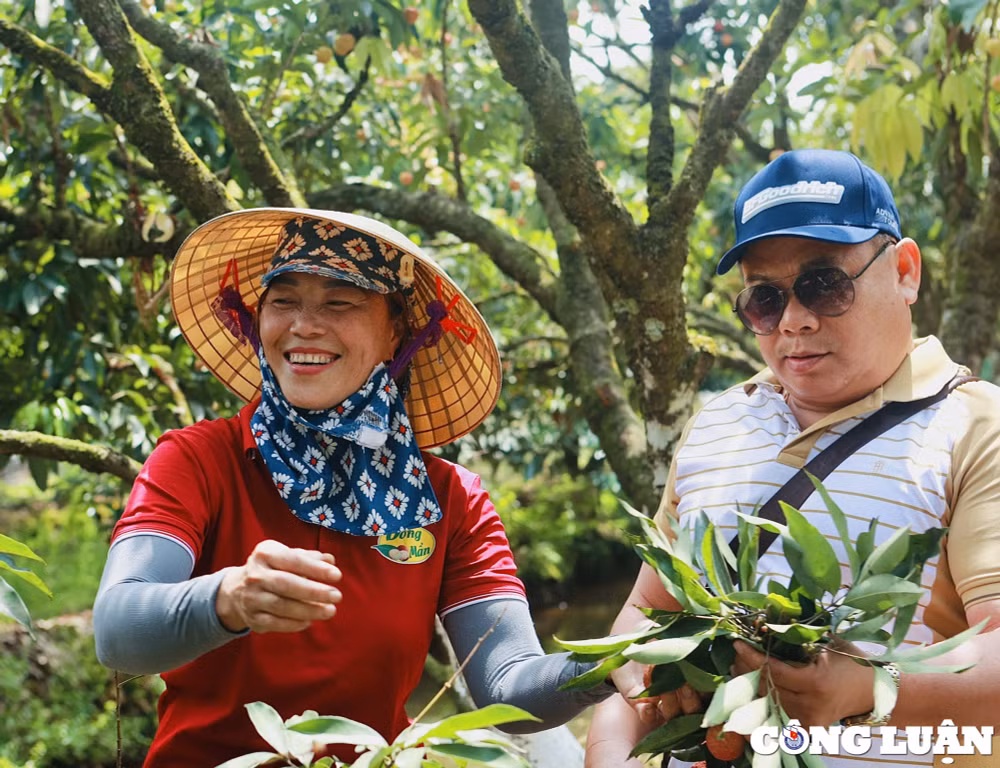 kham pha mien tay thu nho cua vung dat xu dong hinh 4