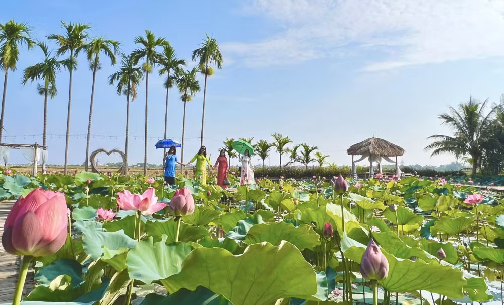 nong dan o duy xuyen quang nam dau tu mo hinh du lich sinh thai hinh 1