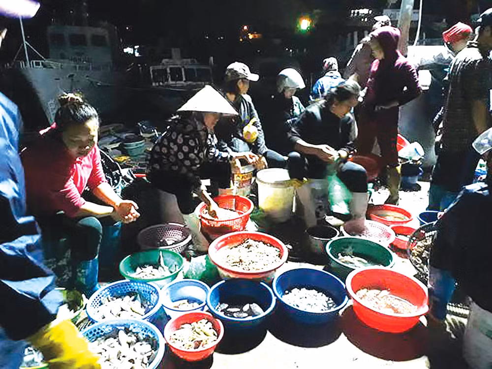 Chợ cá Cái Rồng hoạt động suốt đêm, nhộn nhịp nhất là vào 3-5h sáng.