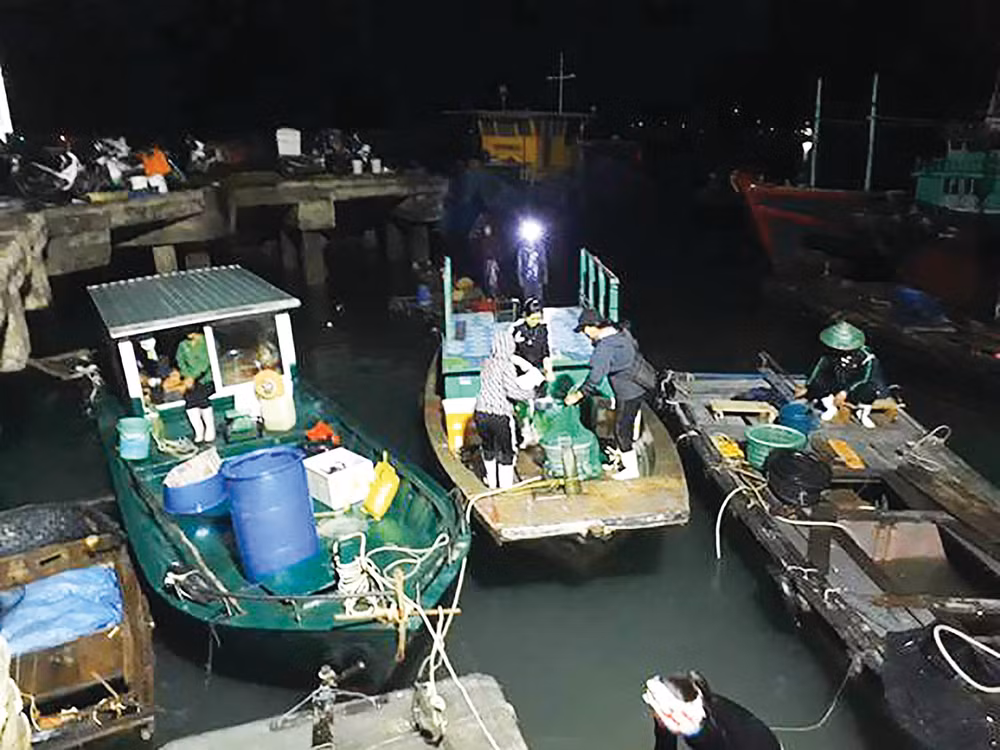 Thương lái lên thẳng tàu nhận hàng.