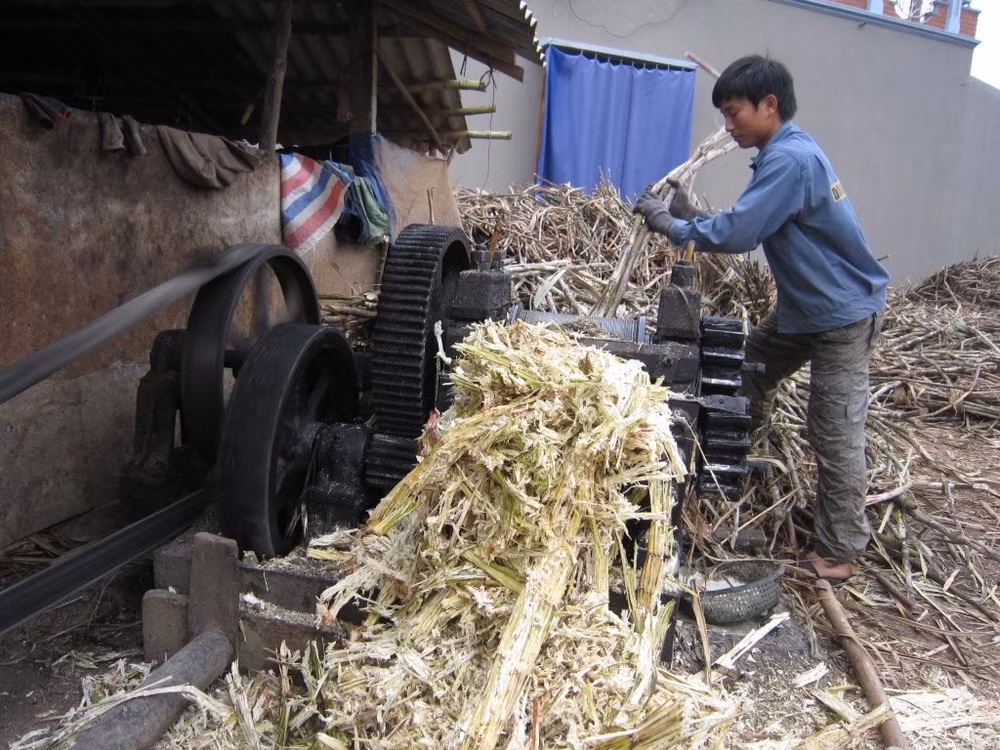 Khoảng chục năm trở lại đây người dân đã dùng máy ép mía công nghiệp vừa năng suất vừa đảm bảo an toàn vệ sinh thực phẩm