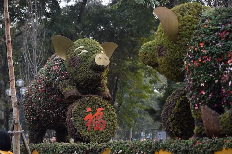 Hai chú heo cầm đồng tiền may mắn tại khu vực hồ Hoàn Kiếm, ảnh Hoàng Anh