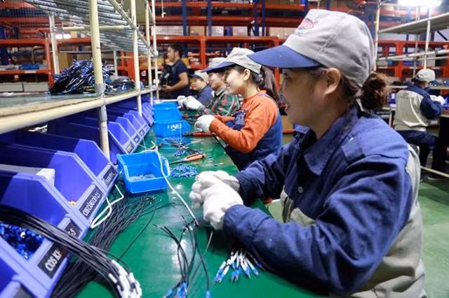 Hàng loạt mặt hàng từ các nước tham gia CPTPP hưởng ưu đãi thuế của Việt Nam. (Ảnh TL)