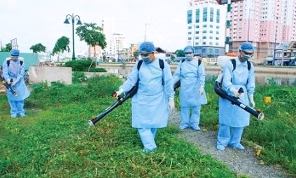 Ngành y tế đề nghị tiếp tục tăng cường các biện pháp phòng, chống dịch sốt xuất huyết. Ảnh: TL