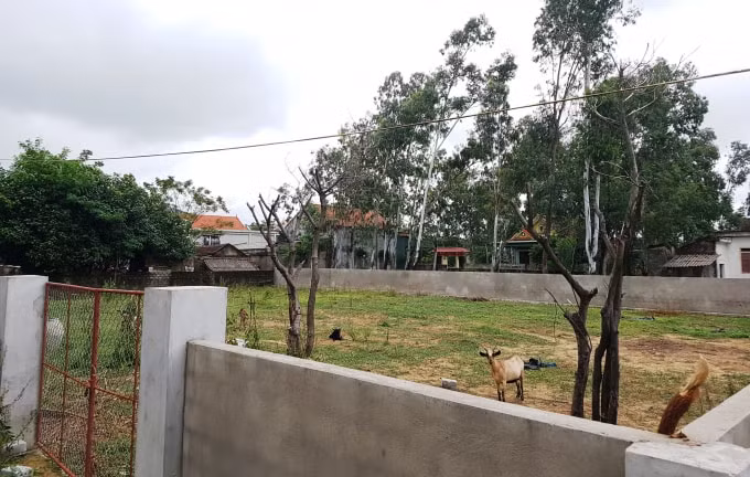 Chính quyền huyện Nghi Xuân cần sớm làm rõ vị trí lô đất mà ông Trần Quốc Tuấn phản ánh ông Nguyễn Khắc Dương chiếm đoạt trái phép của cha mình.