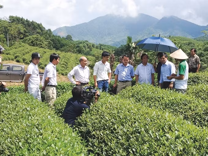 Huyện Yên Bình đẩy mạnh tái cơ cấu ngành nông nghiệp gắn với xây dựng nông thôn mới.