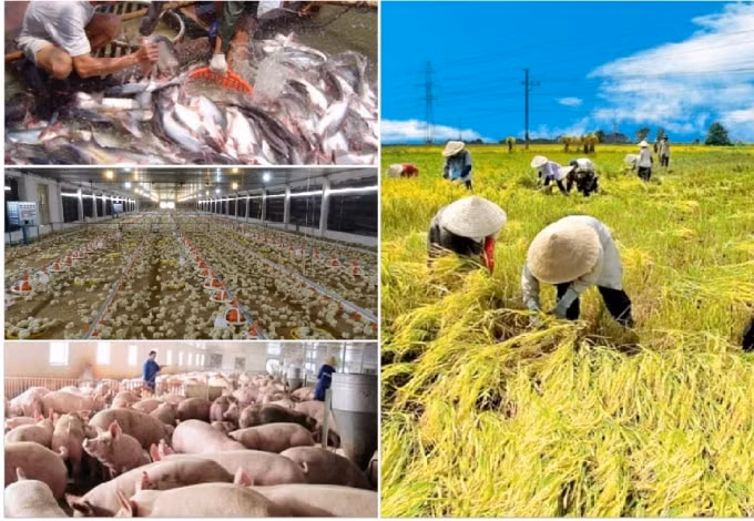 6 tháng đầu năm, tăng trưởng ngành nông nghiệp chỉ đạt 2,39% so với cùng kỳ (Ảnh TL)