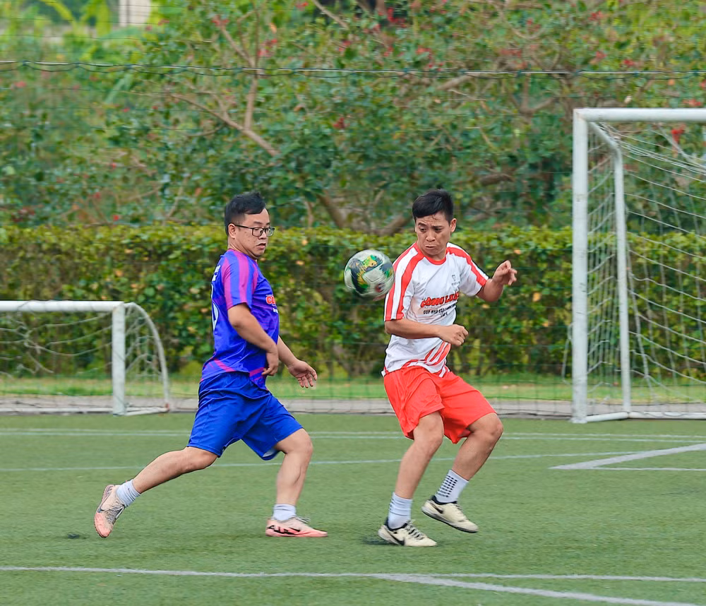 7b856867-91c0-43f6-ac1d-47335c36c5a5-1-201-a.jpg