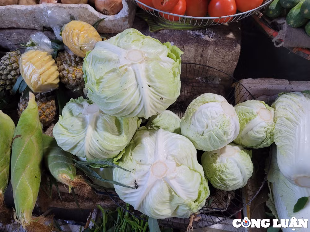 thi truong thuc pham sau tet nguon cung doi dao gia ca on dinh hinh 4
