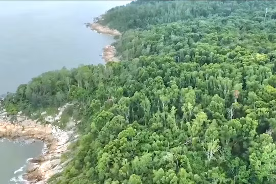 Dự án Khu vườn Đảo hoang và Hoài niệm thuộc Khu du lịch văn hóa sinh thái núi Trường Lệ có tổng diện tích thực hiện khoảng 222.502 m²