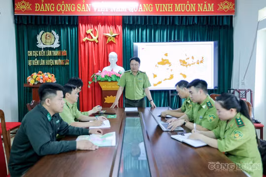 Kỳ 2: Luồng sinh khí từ những cử nhân bản địa