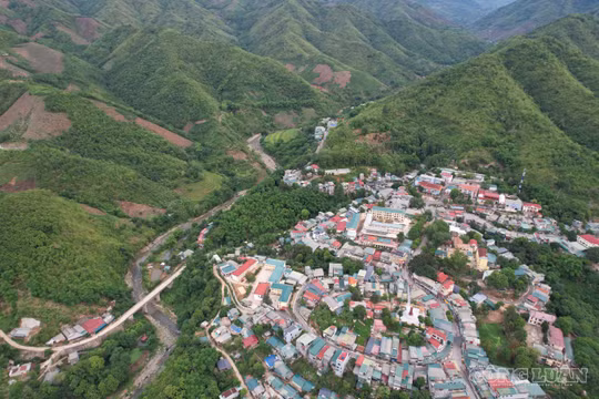 Kỳ cuối: Để rừng mãi xanh - Bản hoà âm của ý Đảng và lòng dân