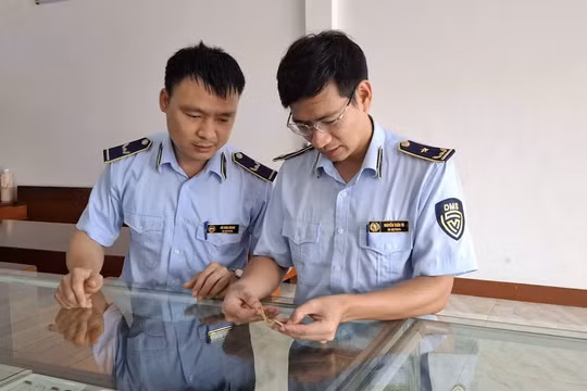 Lực lượng QLTT kiểm tra cửa hàng kinh doanh vàng