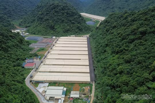Khởi tố vụ án tai nạn lao động làm 5 công nhân tử vong tại trang trại lợn Dabaco Thanh Hóa