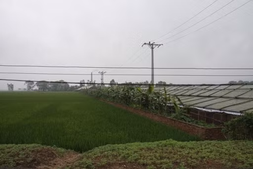Khu vực xác định chức năng là đất nông nghiệp và đất cây xanh, công viên vui chơi giải trí được điều chỉnh thành đất an ninh quốc phòng. Ảnh minh họa - internet