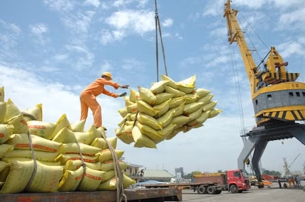 Thủ tướng đồng ý về chủ trương cho phép xuất khẩu gạo trở lại. Ảnh minh họa