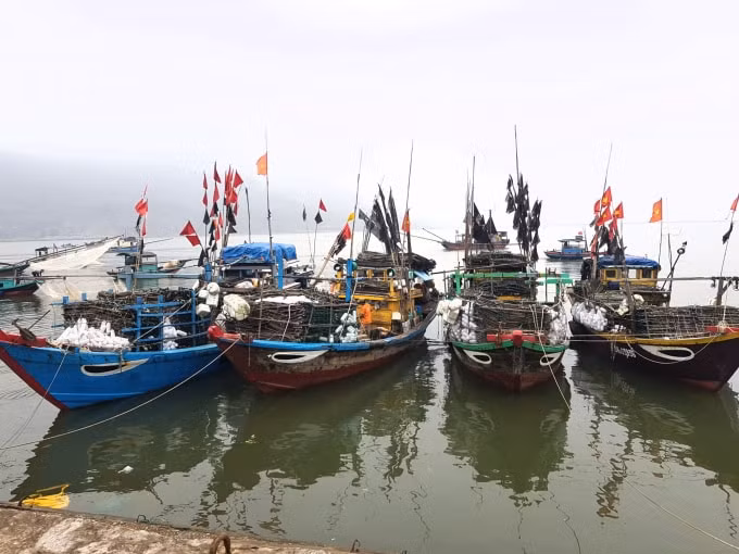 Những chiếc thuyền đã chuẩn bị ngư lưới cụ, nhu yếu phẩm thiết yếu để sẵn sàng xuất phát ra khơi.