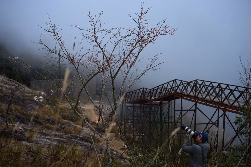 z7474865818766_cc35d3a80813f64783c7186c4a97ccb0.jpg