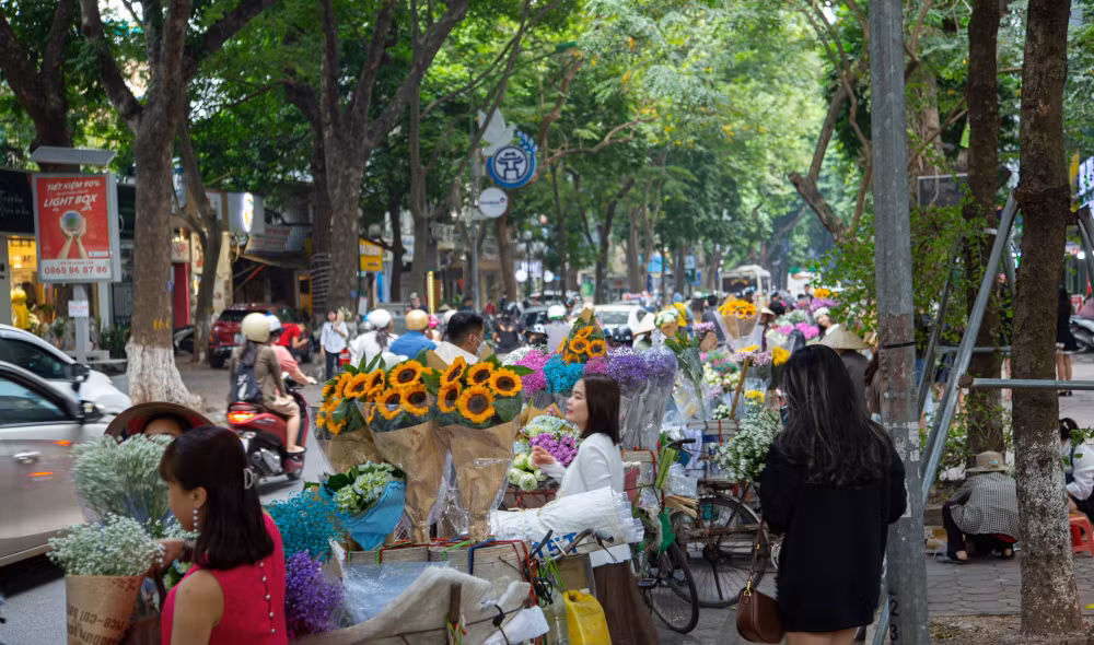 cuc hoa mi dau mua gia re dang ke so voi cung thoi gian nam truoc hinh 3