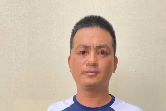 Bắt giám đốc công ty luật để điều tra hành vi lừa đảo