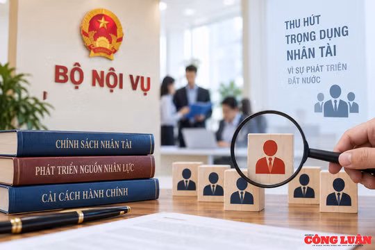 Rà soát, hoàn thiện chính sách thu hút và trọng dụng nhân tài