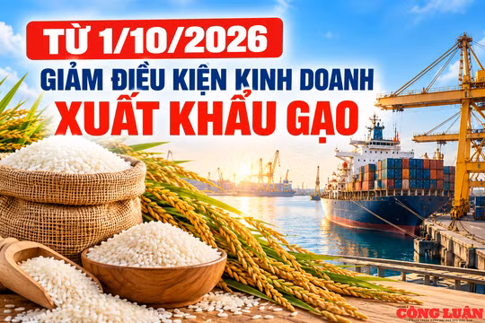 Từ 1/10, giảm điều kiện kinh doanh xuất khẩu gạo