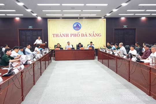 Đà Nẵng thí điểm phát triển kinh tế không gian tầm thấp