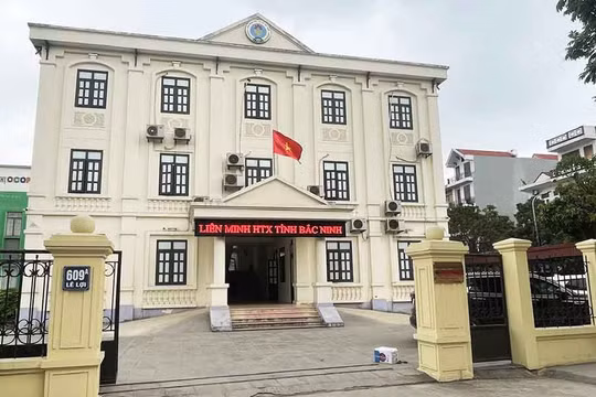Bắc Ninh thống nhất sắp xếp, tinh gọn 18 hội quần chúng do Đảng, Nhà nước giao nhiệm vụ