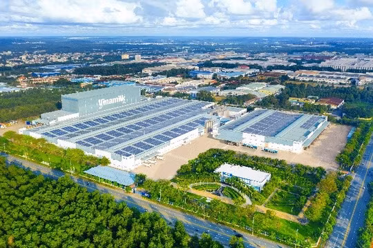 50 năm Vinamilk: Khi "đạt chuẩn" chưa phải là điểm dừng