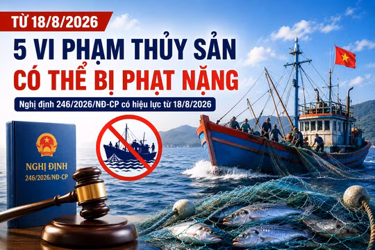 5 vi phạm thủy sản có thể bị phạt nặng từ ngày 18/8