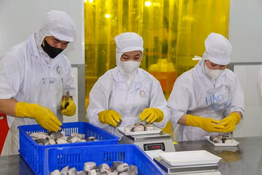 Bảo đảm an toàn thực phẩm là bảo vệ sức khỏe Nhân dân, cộng đồng và nền kinh tế nông nghiệp